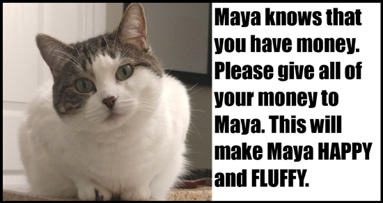 SEE! HAPPY AND FLUFFY!